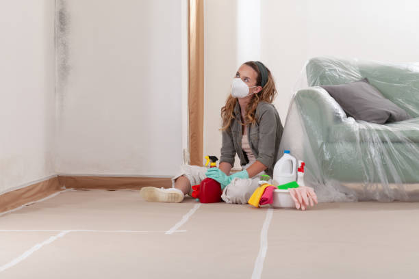Reliable Mold Cleanup contractor in Odessa, FL by Cheap Mold Removal